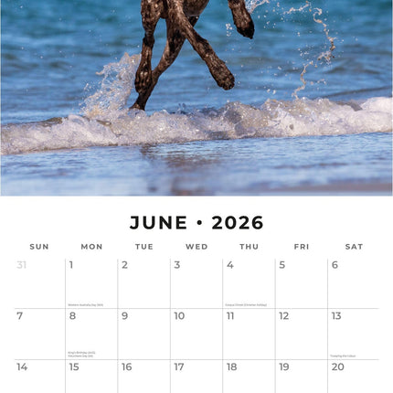Red Robin Duitse Staande Kalender 2026