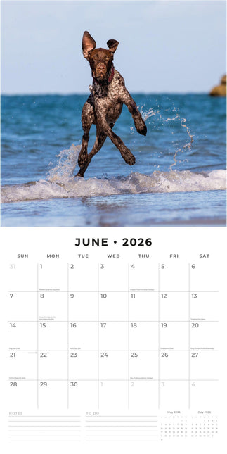 Red Robin Duitse Staande Kalender 2026