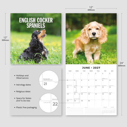 Red Robin Engelse Cocker Spaniel Kalender 2027