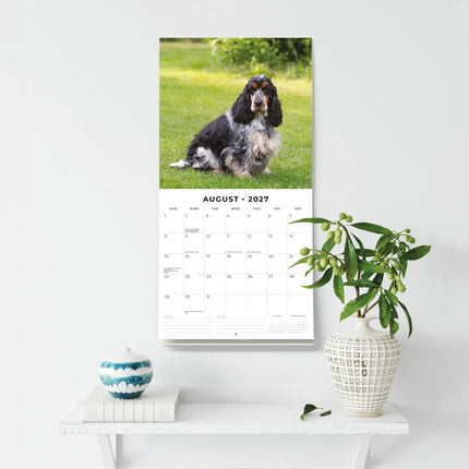 Red Robin Engelse Cocker Spaniel Kalender 2027