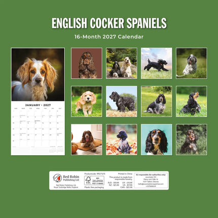 Red Robin Engelse Cocker Spaniel Kalender 2027