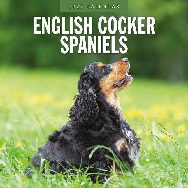 Red Robin Engelse Cocker Spaniel Kalender 2027