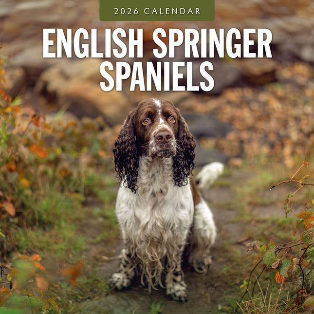 Red Robin Engelse Springer Spaniel Kalender 2026