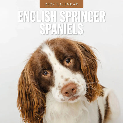 Red Robin Engelse Springer Spaniel Kalender 2027