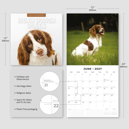 Red Robin Engelse Springer Spaniel Kalender 2027