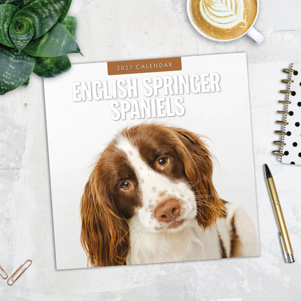 Red Robin Engelse Springer Spaniel Kalender 2027