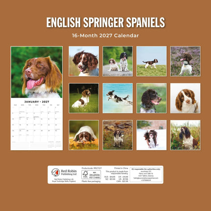 Red Robin Engelse Springer Spaniel Kalender 2027