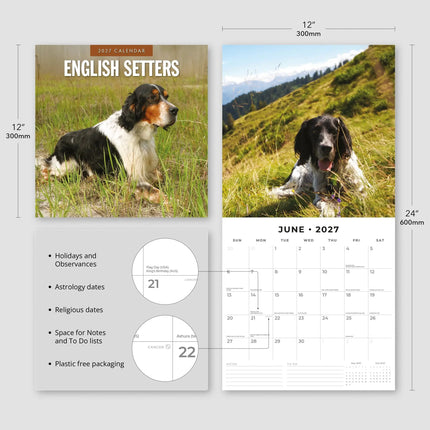 Red Robin English Setter Kalender 2027