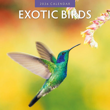 Red Robin Exotic Birds Kalender 2026