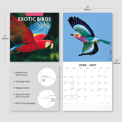 Red Robin Exotic Birds Kalender 2027