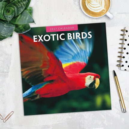 Red Robin Exotic Birds Kalender 2027