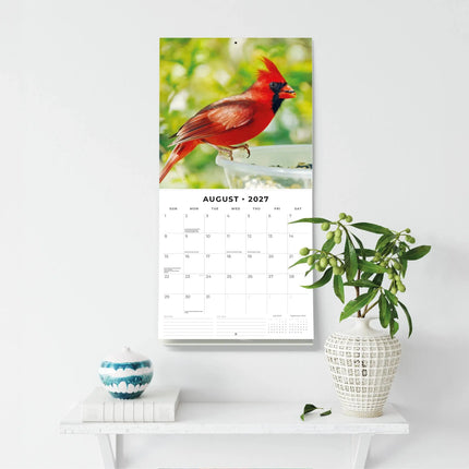 Red Robin Exotic Birds Kalender 2027