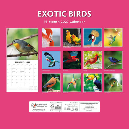 Red Robin Exotic Birds Kalender 2027
