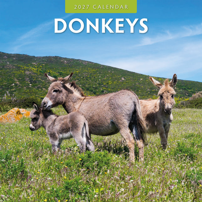 Red Robin Ezel Kalender 2027