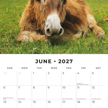 Red Robin Ezel Kalender 2027