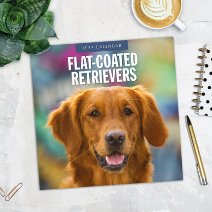Red Robin Flatcoated Retriever Kalender 2027