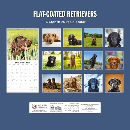 Red Robin Flatcoated Retriever Kalender 2027