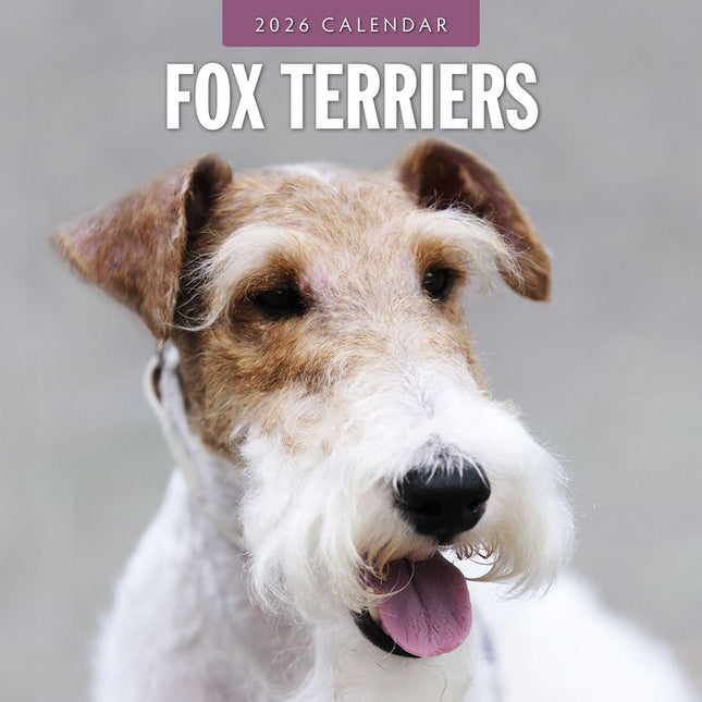 Red Robin Fox Terrier Kalender 2026