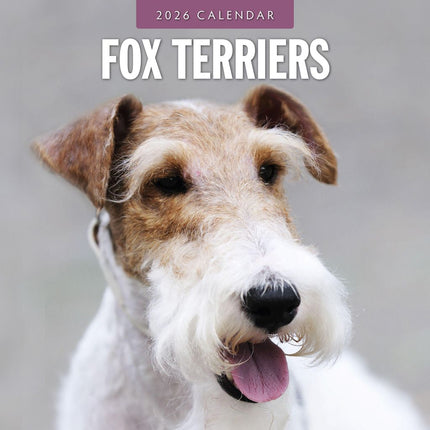 Red Robin Fox Terrier Kalender 2026