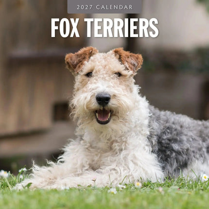 Red Robin Fox Terrier Kalender 2027