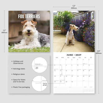 Red Robin Fox Terrier Kalender 2027