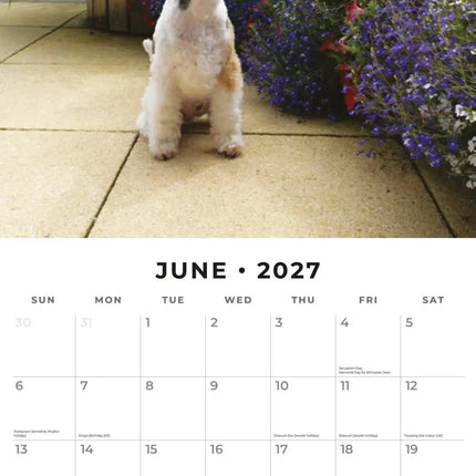 Red Robin Fox Terrier Kalender 2027