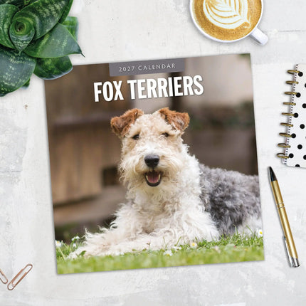 Red Robin Fox Terrier Kalender 2027