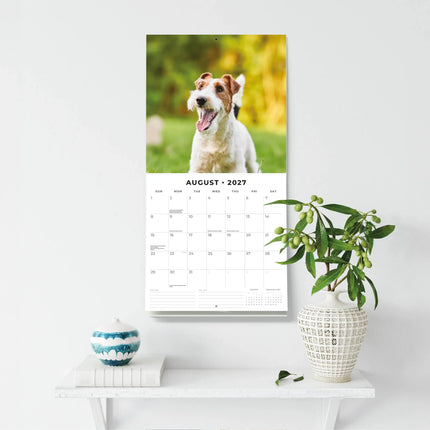 Red Robin Fox Terrier Kalender 2027
