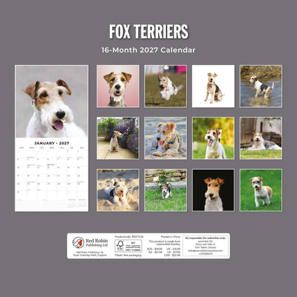 Red Robin Fox Terrier Kalender 2027