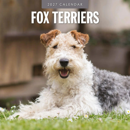 Red Robin Fox Terrier Kalender 2027