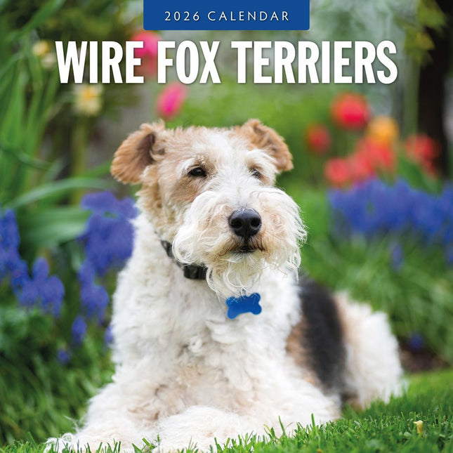 Red Robin Fox Terrier Ruwhaar Kalender 2026
