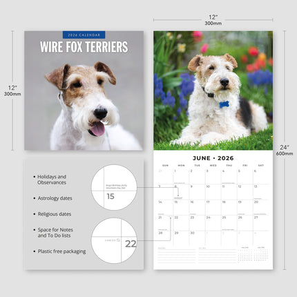Red Robin Fox Terrier Ruwhaar Kalender 2026