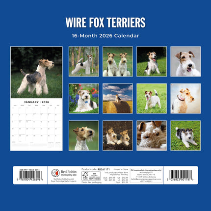 Red Robin Fox Terrier Ruwhaar Kalender 2026