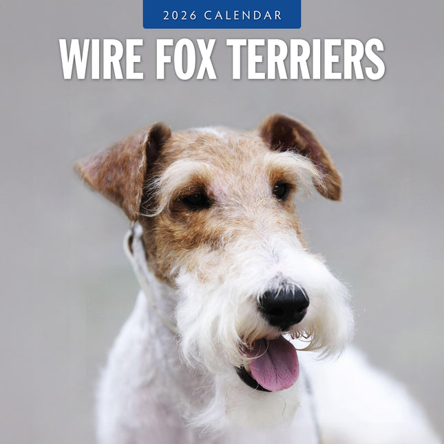 Red Robin Fox Terrier Ruwhaar Kalender 2026