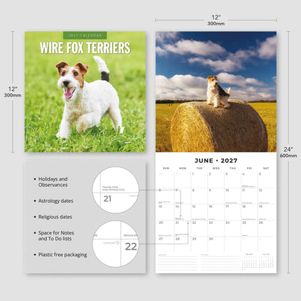 Red Robin Fox Terrier Ruwhaar Kalender 2027