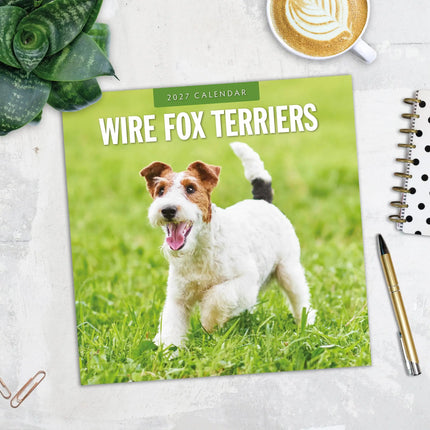 Red Robin Fox Terrier Ruwhaar Kalender 2027