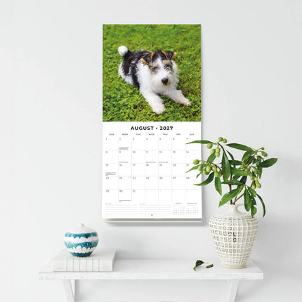 Red Robin Fox Terrier Ruwhaar Kalender 2027
