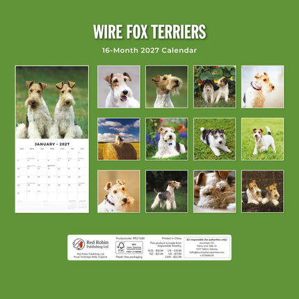 Red Robin Fox Terrier Ruwhaar Kalender 2027