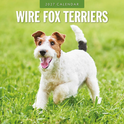 Red Robin Fox Terrier Ruwhaar Kalender 2027