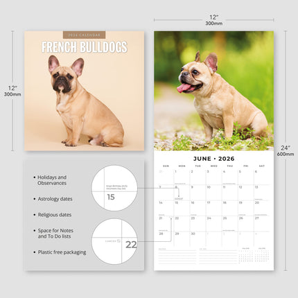 Red Robin Franse Bulldog Kalender 2026