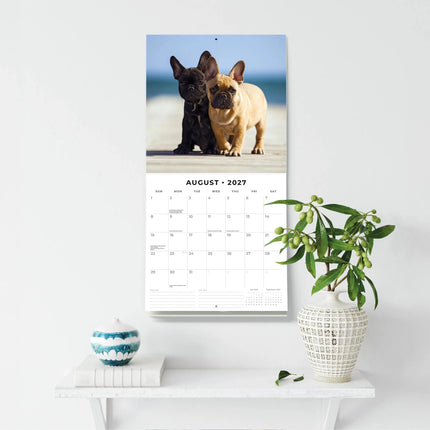 Red Robin Franse Bulldog Kalender 2027