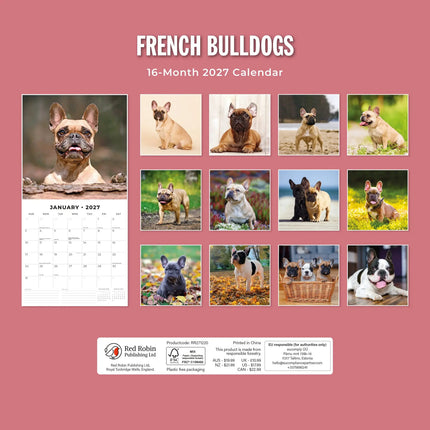 Red Robin Franse Bulldog Kalender 2027
