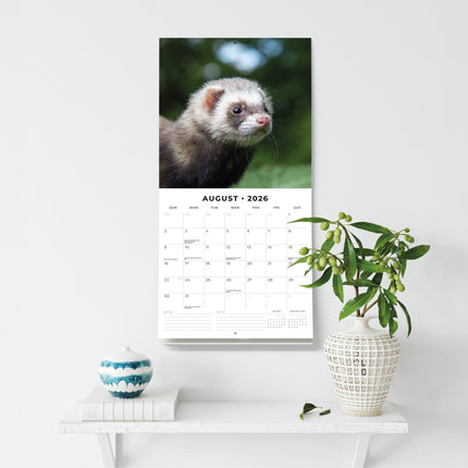 Red Robin Fretten Kalender 2026