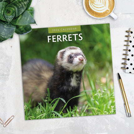 Red Robin Fretten Kalender 2026