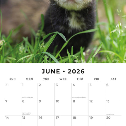Red Robin Fretten Kalender 2026