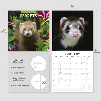 Red Robin Fretten Kalender 2027