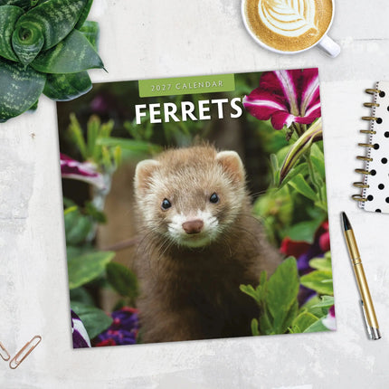 Red Robin Fretten Kalender 2027
