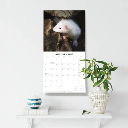 Red Robin Fretten Kalender 2027