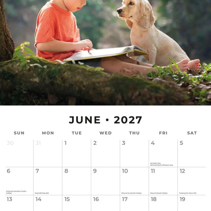 Red Robin Friendship Kalender 2027