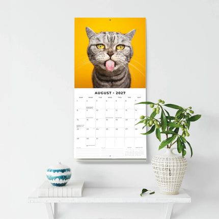 Red Robin Funny Cats Kalender 2027